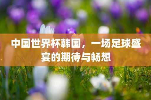 中国世界杯韩国，一场足球盛宴的期待与畅想