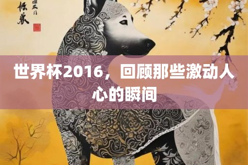 世界杯2016，回顾那些激动人心的瞬间