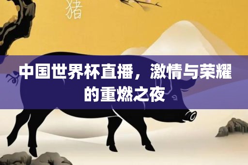 中国世界杯直播，激情与荣耀的重燃之夜洛阳市法福文化传播有限公司