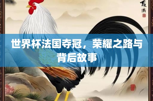 世界杯法国夺冠，荣耀之路与背后故事