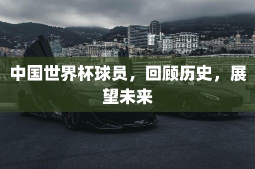 中国世界杯球员，回顾历史，展望未来