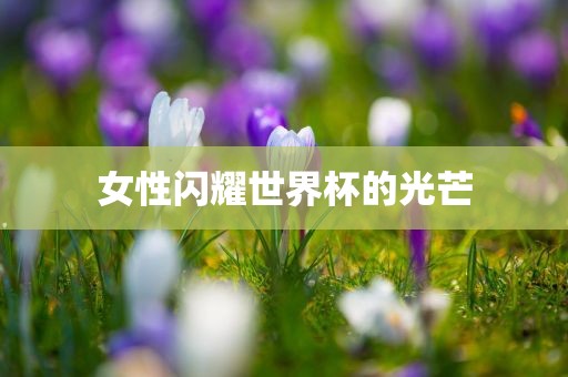 女性闪耀世界洛阳市法福文化传播有限公司杯的光芒