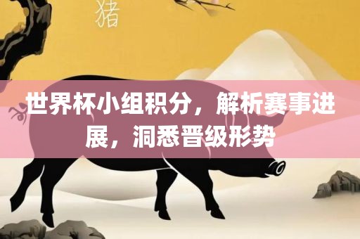 世界杯小组积分，解析赛事进展，洞悉晋级形势