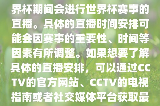 CCTV（中国中央电视台）在世界杯期间会进行世界杯赛事的直播。具体的直播时间安排可能会因赛事的重要性、时间等因素有所调整。如果想要了解具体的直播安排，可以通过CCTV的官方网站、CCTV的电视指南或者社交媒体平台获取最新的信息。