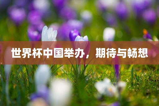 世界杯中国举办，期待与畅想洛阳市法福文化传播有限公司