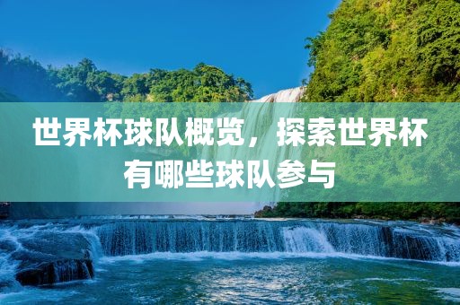世界杯球队概览，探索世界杯有哪些球队参与