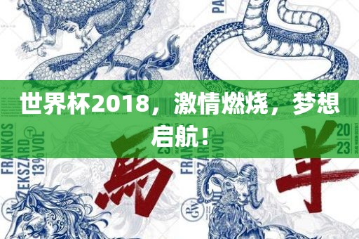 世界杯2018，激情燃烧，梦想启航！洛阳市法福文化传播有限公司