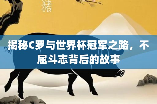 揭秘C罗与世界杯冠军之路，不屈斗志背后的故事洛阳市法福文化传播有限公司