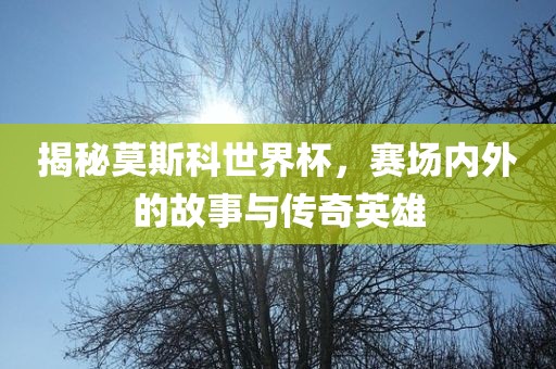 揭秘莫斯科世界杯，赛场内外的故事与传奇英雄