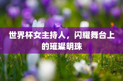 世界杯女主持人，闪耀舞台上的璀璨明珠