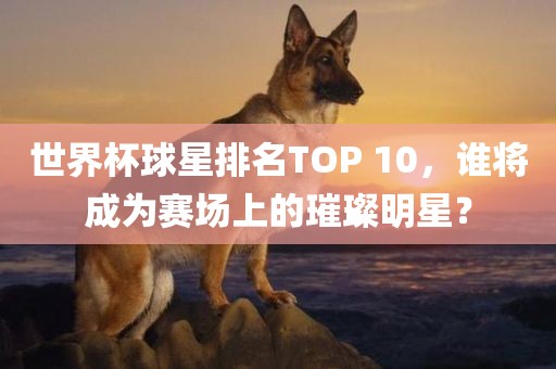 世界杯球星排名TOP 10，谁将成为赛场上的璀璨明星？