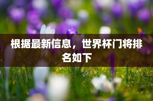 根据最新信息，世界杯门将排名如下