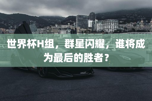 世界杯H组，群星闪耀，谁将成为最后的胜者？