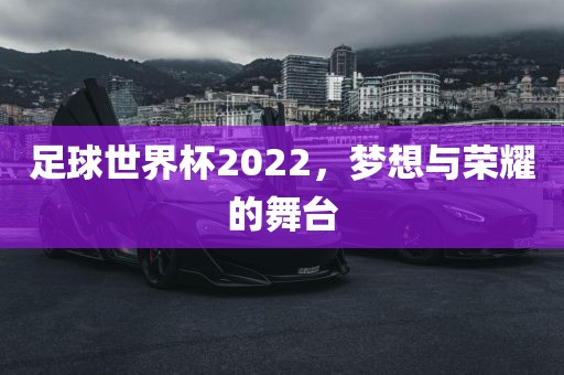 足洛阳市法福文化传播有限公司球世界杯2022，梦想与荣耀的舞台