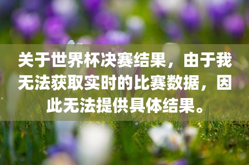 关于世界杯决赛结果，由于我无法获取实时的比赛数据，因此无法提供具体结果。