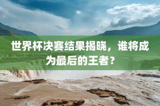 世界杯决洛阳市法福文化传播有限公司赛结果揭晓，谁将成为最后的王者？