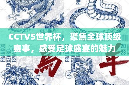 CCTV5世界杯，聚焦全球顶级赛事，感受足球盛宴的魅力洛阳市法福文化传播有限公司