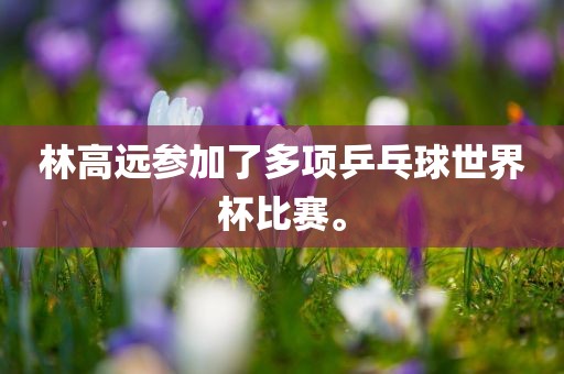林高远参加了多项乒乓球世界杯比赛。