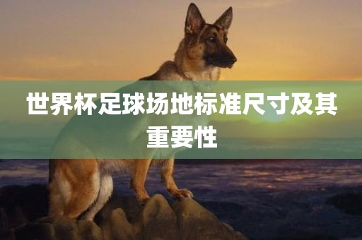 世界杯足球场地标准尺寸及其重要性洛阳市法福文化传播有限公司