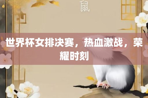 世界杯女排决赛，热血激战，荣耀时刻