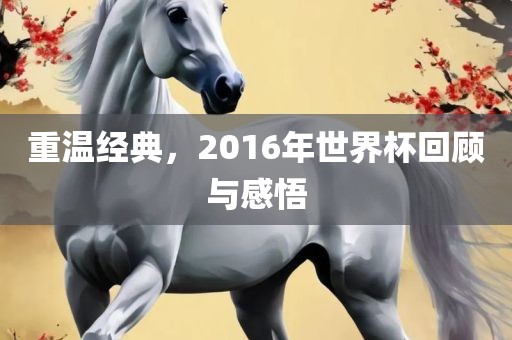 重温经典，2016年世界杯回顾与感悟