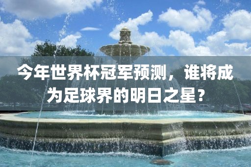 今年世界杯冠军预测，谁将成为足球界的明日之星？