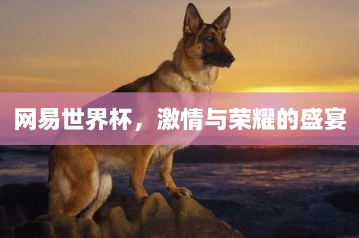 激情与荣耀 第10页