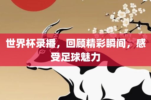 世界杯录播，回顾精彩瞬间，感受足球魅力洛阳市法福文化传播有限公司