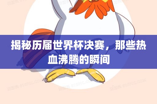 揭秘历届世界杯决赛，那些热血沸腾的瞬间洛阳市法福文化传播有限公司