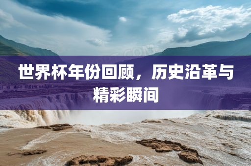 世界杯年份回顾，历史沿革与精彩瞬间洛阳市法福文化传播有限公司