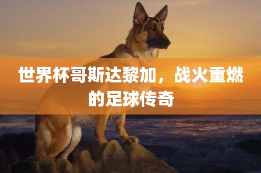 世界杯哥斯达黎加，战火重燃的足球传奇