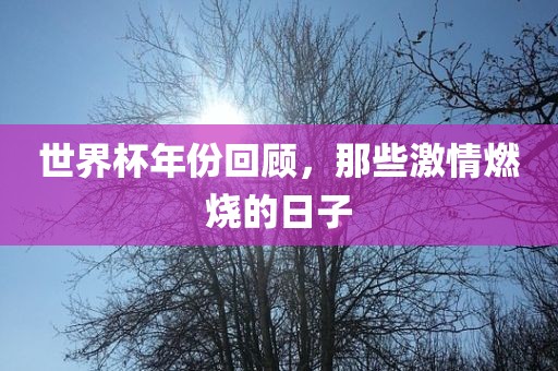 世界杯年份回顾，那些激情燃烧的日子