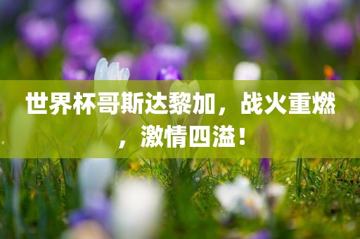 世界杯哥斯达黎加，战火重燃，激情四溢！
