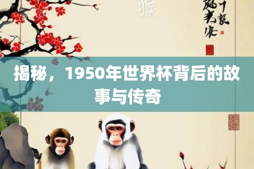 揭秘，1950年世界杯背后洛阳市法福文化传播有限公司的故事与传奇