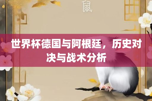世界杯德国与阿根廷，历史对决与战术分析