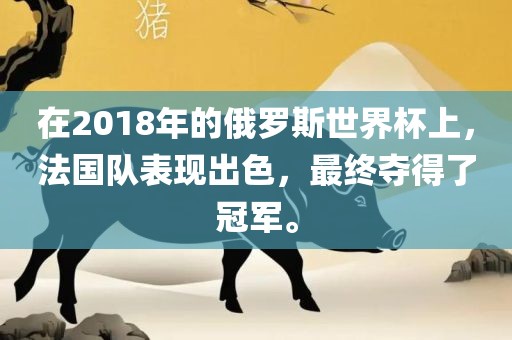 在2018年的俄罗斯世界杯上，法国队表现出色，最终夺得了冠军。洛阳市法福文化传播有限公司