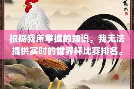 根据我所掌握的知识，我无法提供实时的世界杯比赛排名。