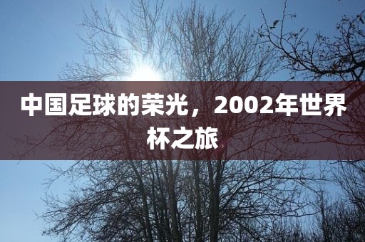 中国足球的荣光，2002年世界杯之旅洛阳市法福文化传播有限公司