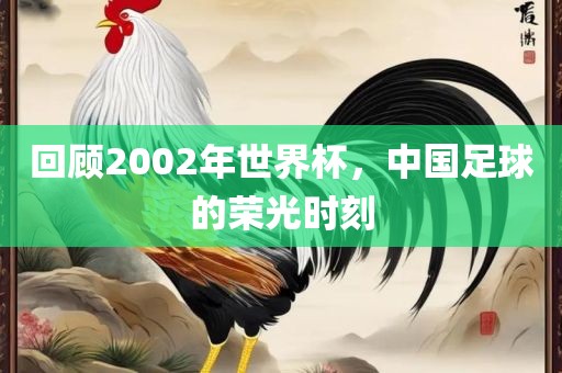 回顾2002年世界杯，中国足球的荣光时刻洛阳市法福文化传播有限公司