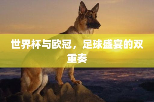 世界杯与欧冠，足球盛宴的双重奏洛阳市法福文化传播有限公司