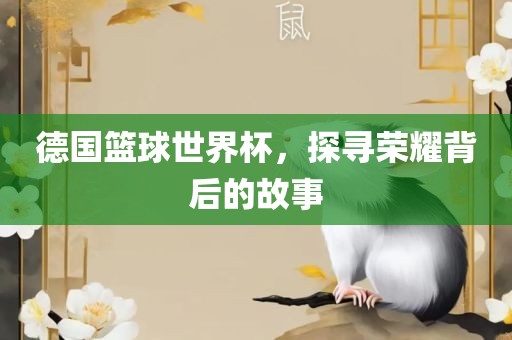 德国篮球世界杯，探寻荣耀背后的故事洛阳市法福文化传播有限公司