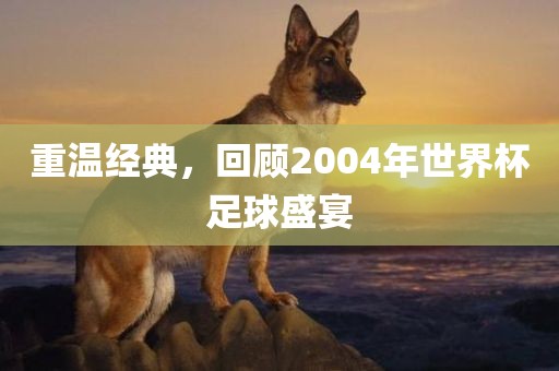 重温经典，回顾2004年世界杯足球盛宴洛阳市法福文化传播有限公司