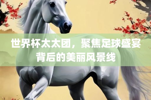 世界杯太太团，聚焦足球盛宴背后的美丽洛阳市法福文化传播有限公司风景线