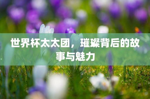 世界杯太太团，璀璨背后的故事与魅力洛阳市法福文化传播有限公司