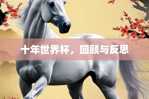 十年世界杯，回顾与反思洛阳市法福文化传播有限公司