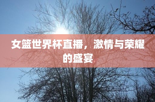 女篮世界杯直播，激情与荣耀的盛宴