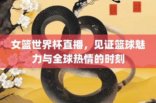 女篮世界杯直播，见证篮球魅力与全球热情的时刻
