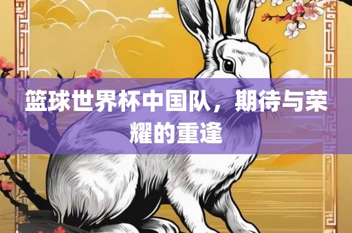 篮球世界杯中国队，期待与荣耀的重逢