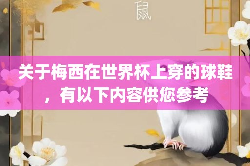 关于梅西在世界杯上穿的球鞋，有以下内容供您参考