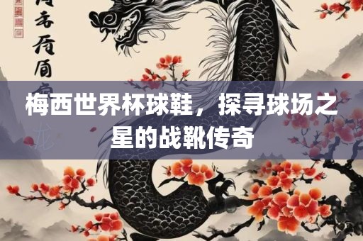梅西世界杯球鞋，探寻球场之星的战靴传奇